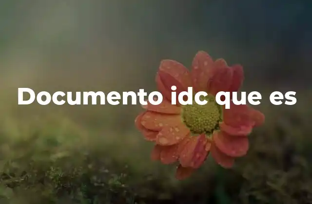 Documento Idc que es 2 El papel de los documentos IDC en la gestión de identidad digital