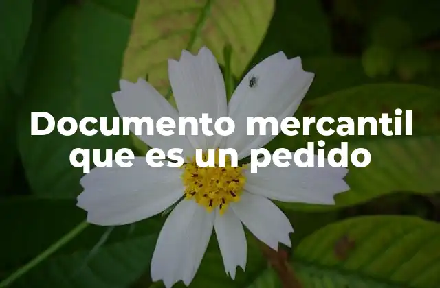La importancia de los documentos en el proceso comercial