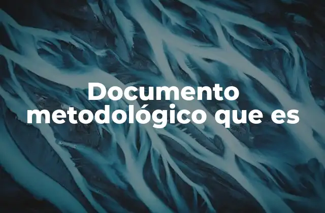 Documento Metodológico que es