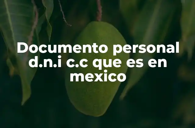 Documento Personal D.n.i C.c que es en Mexico