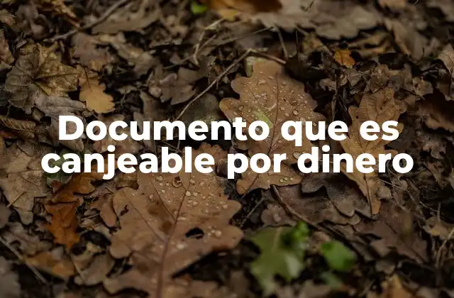 Documento que es Canjeable por Dinero