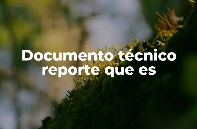 Documento Técnico Reporte que es 2 La importancia de la comunicación técnica en contextos profesionales