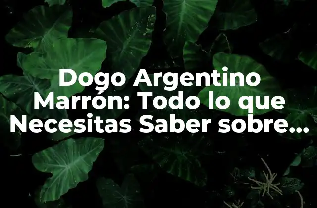 Dogo Argentino Marrón: Todo Lo que Necesitas Saber sobre Esta Raza de Perro