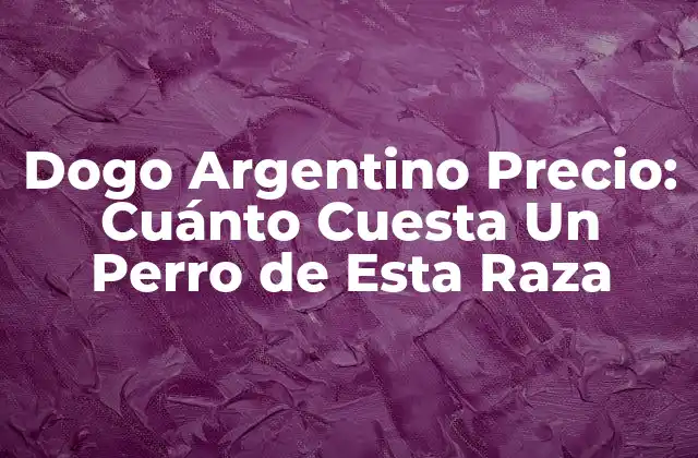 Dogo Argentino Precio: Cuánto Cuesta un Perro de Esta Raza