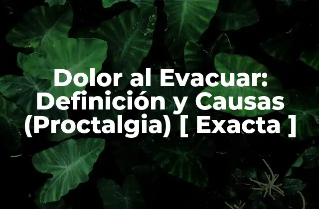 Dolor Al Evacuar: Definición y Causas (proctalgia) [ Exacta ]