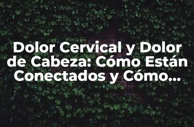 Dolor Cervical y Dolor de Cabeza: Cómo Están Conectados y Cómo Aliviarlos 2 ¿Cuál es la Causa del Dolor Cervical y del Dolor de Cabeza?