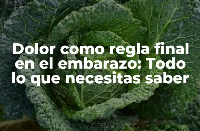 Dolor como Regla Final en el Embarazo: Todo Lo que Necesitas Saber