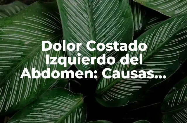 Dolor Costado Izquierdo Del Abdomen: Causas, Síntomas y Tratamientos