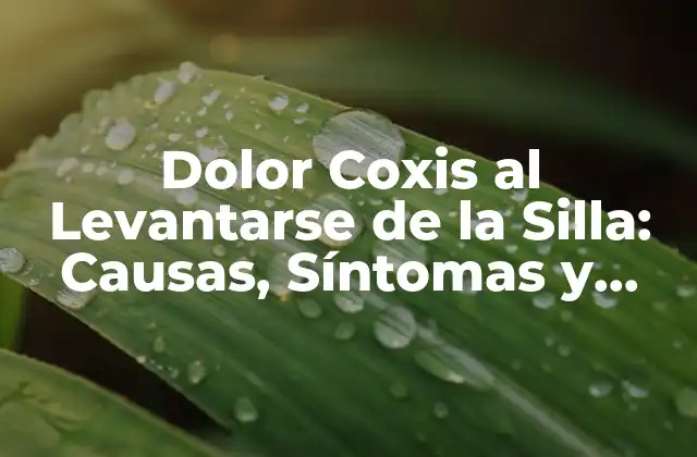 Causas del Dolor Coxis al Levantarse de la Silla