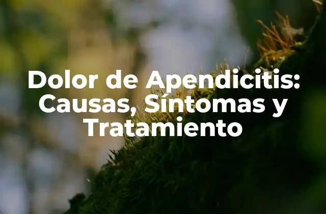 Dolor de Apendicitis: Causas, Síntomas y Tratamiento