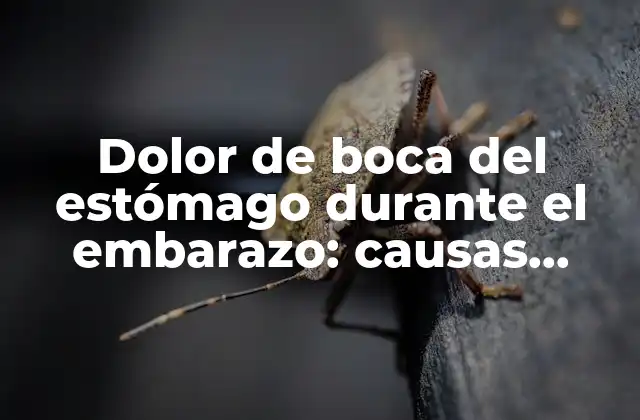 Dolor de Boca Del Estómago durante el Embarazo: Causas, Síntomas y Tratamiento