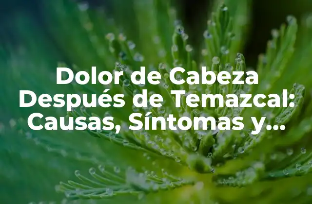 Dolor de Cabeza Después de Temazcal: Causas, Síntomas y Remedios 2 ¿Qué es el Temazcal?