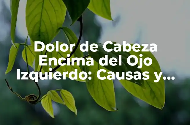 Dolor de Cabeza Encima Del Ojo Izquierdo: Causas y Tratamientos