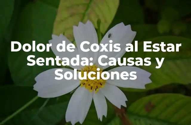 Dolor de Coxis Al Estar Sentada: Causas y Soluciones