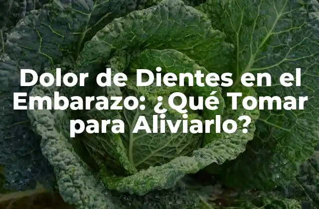 Causas del Dolor de Dientes en el Embarazo