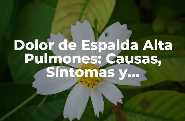 Dolor de Espalda Alta Pulmones: Causas, Síntomas y Tratamientos 2 Causas del Dolor de Espalda Alta Pulmones