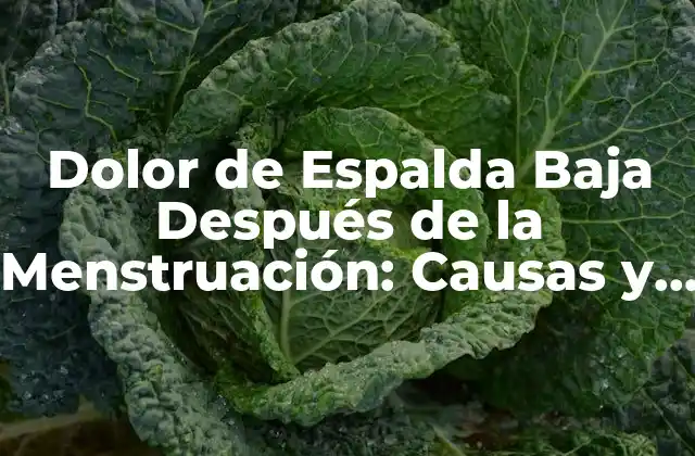 Dolor de Espalda Baja Después de la Menstruación: Causas y Soluciones