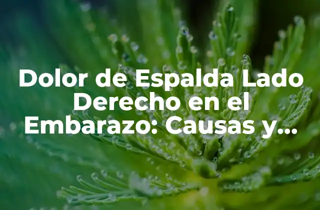 Dolor de Espalda Lado Derecho en el Embarazo: Causas y Soluciones