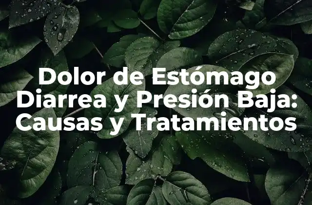 Dolor de Estómago Diarrea y Presión Baja: Causas y Tratamientos