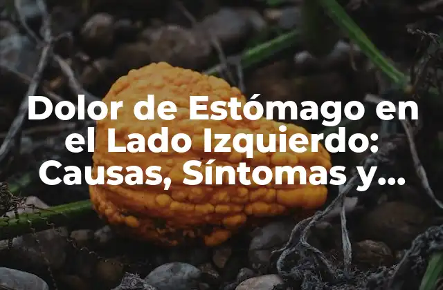 Dolor de Estómago en el Lado Izquierdo: Causas, Síntomas y Tratamientos