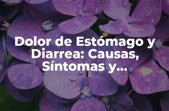 Dolor de Estómago y Diarrea: Causas, Síntomas y Tratamientos