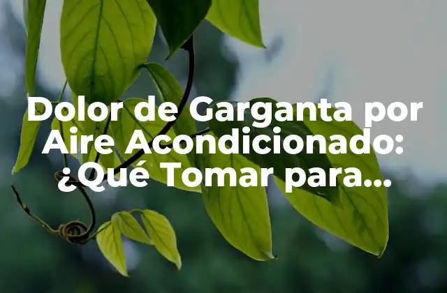 Dolor de Garganta por Aire Acondicionado: ¿qué Tomar para Aliviar el Malestar?