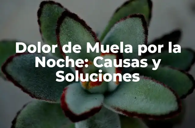 Dolor de Muela por la Noche: Causas y Soluciones