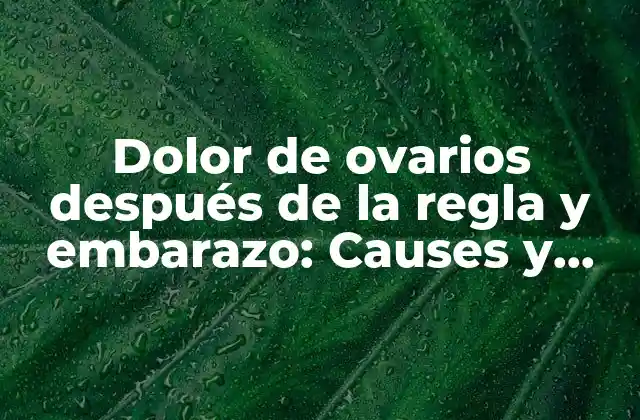 Dolor de Ovarios Después de la Regla y Embarazo: Causes y Tratamientos