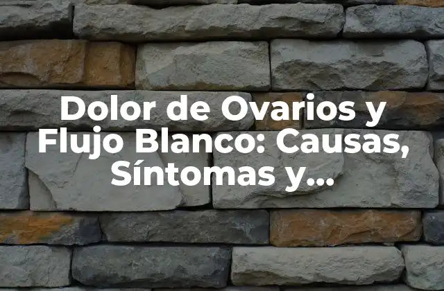 Dolor de Ovarios y Flujo Blanco: Causas, Síntomas y Tratamientos 2 ¿Qué es el Dolor de Ovarios?