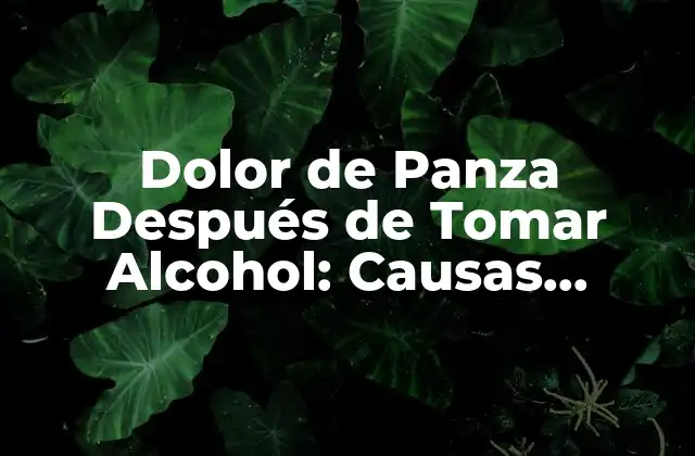 Dolor de Panza Después de Tomar Alcohol: Causas, Síntomas y Remedios