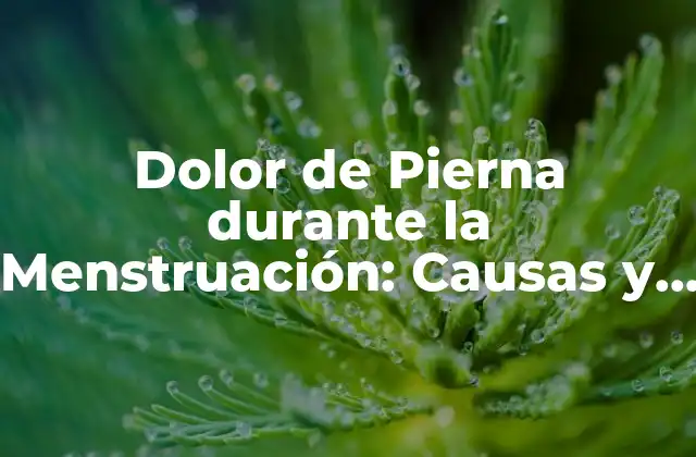 Dolor de Pierna durante la Menstruación: Causas y Soluciones
