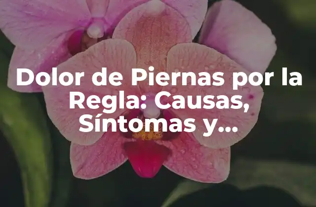 Dolor de Piernas por la Regla: Causas, Síntomas y Tratamientos
