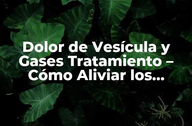 Dolor de Vesícula y Gases Tratamiento – Cómo Aliviar los Síntomas de Forma Natural y Efectiva