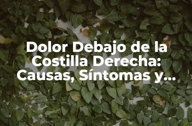 Causas del Dolor Debajo de la Costilla Derecha