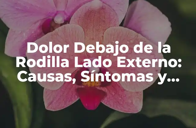 Dolor Debajo de la Rodilla Lado Externo: Causas, Síntomas y Tratamientos