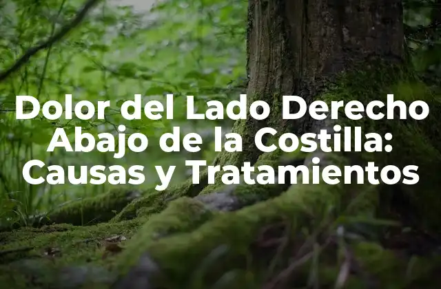 Dolor Del Lado Derecho Abajo de la Costilla: Causas y Tratamientos