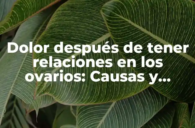 Dolor Después de Tener Relaciones en los Ovarios: Causas y Soluciones