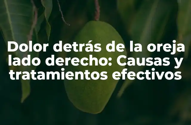 Dolor Detrás de la Oreja Lado Derecho: Causas y Tratamientos Efectivos