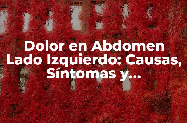 Dolor en Abdomen Lado Izquierdo: Causas, Síntomas y Tratamiento