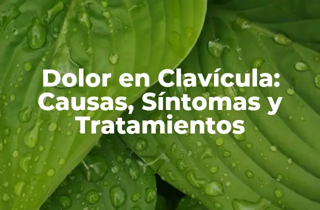 Dolor en Clavícula: Causas, Síntomas y Tratamientos 2 Causas del Dolor en Clavícula