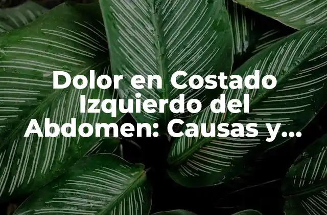 Dolor en Costado Izquierdo Del Abdomen: Causas y Síntomas