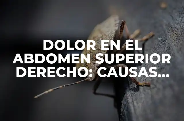 Dolor en el Abdomen Superior Derecho: Causas, Síntomas y Tratamientos