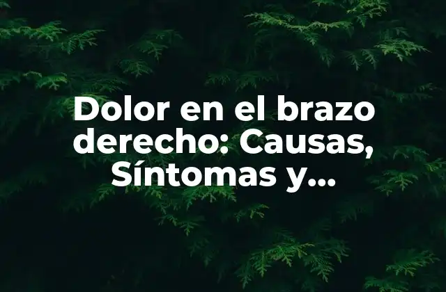 Dolor en el Brazo Derecho: Causas, Síntomas y Tratamientos