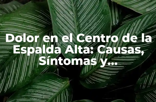 Dolor en el Centro de la Espalda Alta: Causas, Síntomas y Tratamientos