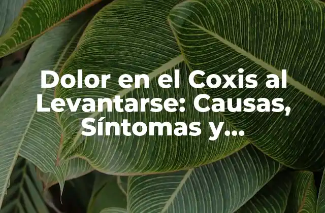 Dolor en el Coxis Al Levantarse: Causas, Síntomas y Tratamientos