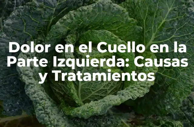 Dolor en el Cuello en la Parte Izquierda: Causas y Tratamientos