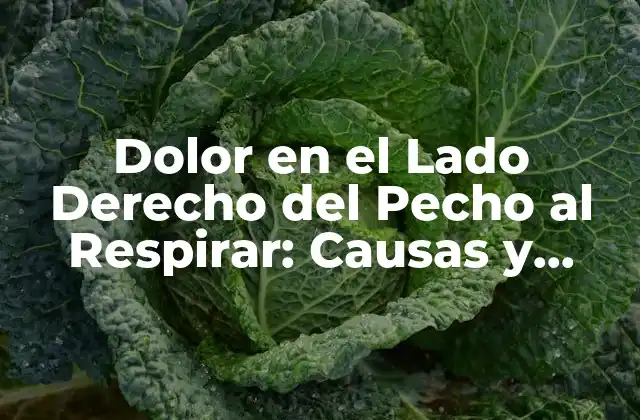 Dolor en el Lado Derecho Del Pecho Al Respirar: Causas y Síntomas