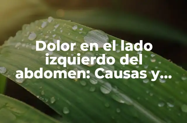 Dolor en el Lado Izquierdo Del Abdomen: Causas y Tratamiento