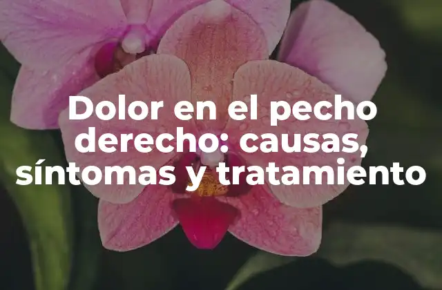 Dolor en el Pecho Derecho: Causas, Síntomas y Tratamiento 2 Causas del dolor en el pecho derecho