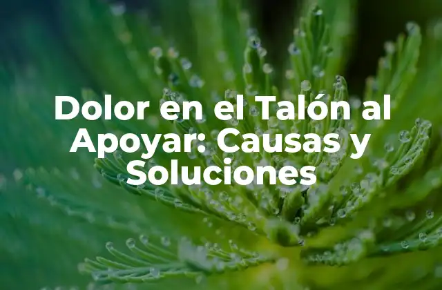 Dolor en el Talón Al Apoyar: Causas y Soluciones 2 ¿Cuáles son las Causas del Dolor en el Talón al Apoyar?